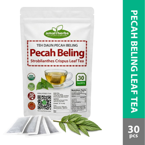 Teh Daun Pecah Beling Strobilanthes...